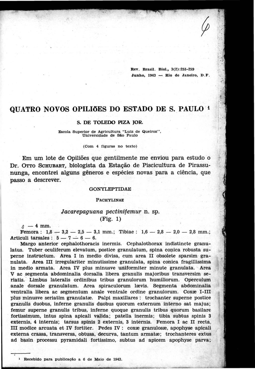 Rev. Brasil. BiQI., 3(2) :255-259c Junho, 1943...,..; Rio de Janeiro, D. F. QUATRO NOVOS OPILiõES DO ESTADO DE S. PAULO 't S. DE TOLEDO PIZA JOR.