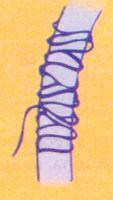 Além de se localizarem à superfície, também se encontram nos músculos esqueléticos, tendões, intestinos, estômago, etc.