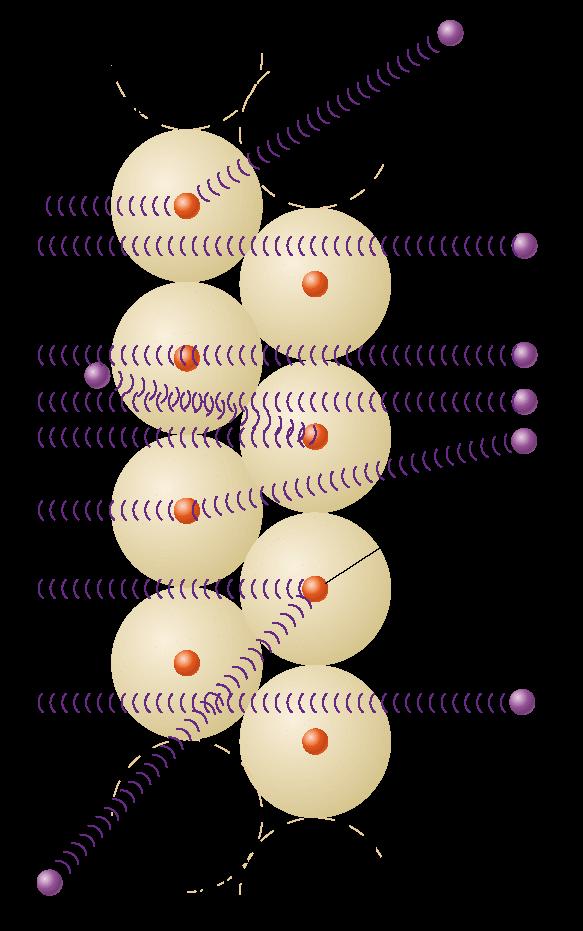Estrutura atômica 13 O átomo com núcleo na visão de Rutherford o átomo é esférico, mas a carga positiva deve