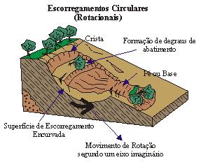 solos espessos (Figuras 9, 10 e 11). É um fenômeno decorrente nas encostas do sudeste do Brasil.