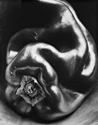 25 Figura 12 - Pimentão, 1930. Edward Weston Fonte: Janson (2001, p.