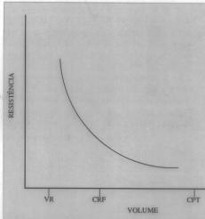 Fisiologia e fisiopatologia respiratórias suas características anatômicas e do regime de fluxo.