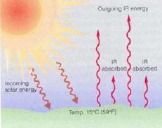 2 O, CO 2, N 2 O, CH 4,O 3, CFCs