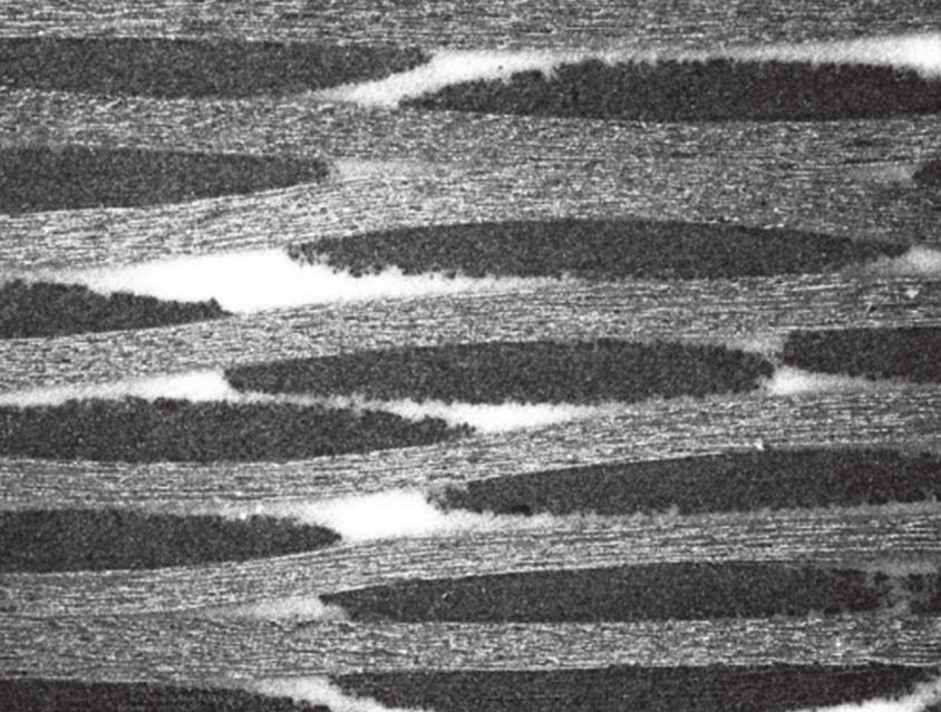 Figura 2. Fotomicrografia do PPS/fibra de carbono obtida pelo microscópio óptico. Figura 3. Curva TGA para o material. Figura 4.