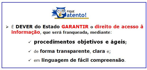 SUBORDINAÇÃO À LAI SUBORDINAÇÃO À LAI Cabe então aos órgãos e entidades do poder público, observadas as normas e procedimentos específicos aplicáveis, assegurar