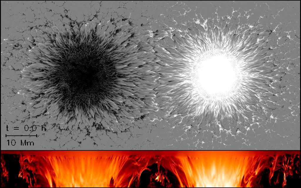 Fotosfera: superfície solar Simulação de campos magnéticos verticais: polaridades negativa (preto) e positiva (branco) valores limites: 3.5 kgauss (preto) and 3.5 kgauss (branco).