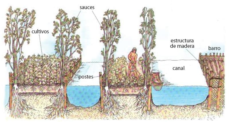 Figura 11 - Detalhe da construção dos solos antrópico denominados de las chinampas na cidade do México, pela civilização Asteca. Fonte: (GARDI et al., 2014).