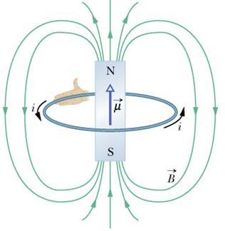 Campo Magnético de uma Bobina Uma bobina percorrida por corrente pode ser tratada como um dipolo magnético. Qual é o campo produzido pela bobina em um ponto do espaço?
