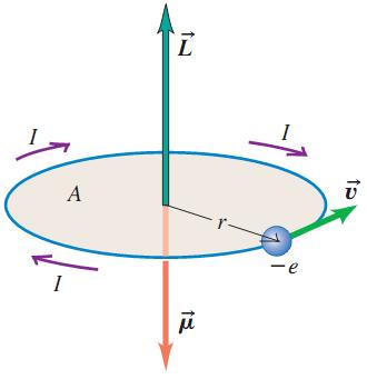 O magneton de Bohr Materiais Magnéticos Os átomos de todos os materiais possuem elétrons que se movem, formando uma espira de correntes microscópicas que se movem e produzem individualmente campos
