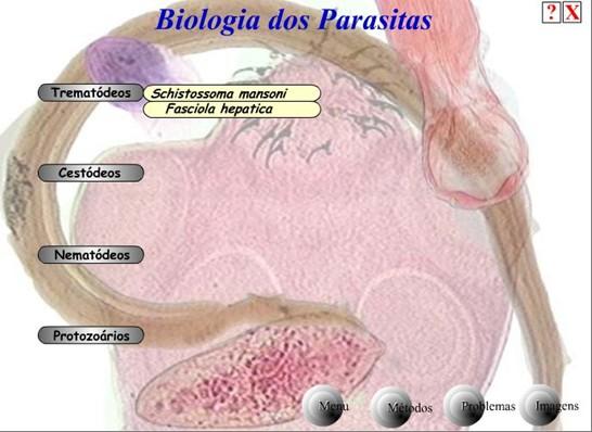 Figura 5 - Tela de menu da seção Biologia dos Parasitas.