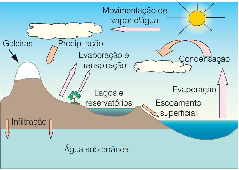 Ciclo