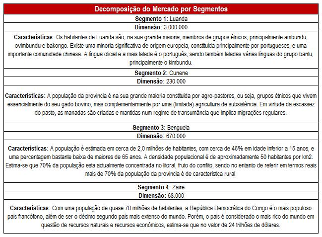 SEGMENTOS DE MERCADO FICHA 3