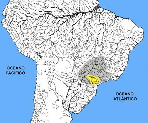 Resumo Foram amostrados 17 trechos de riachos com 100 m de extensão, todos de ordem igual ou menor a três, ao longo de ambas as margens do canal principal do Rio Paranapanema, SP e PR.