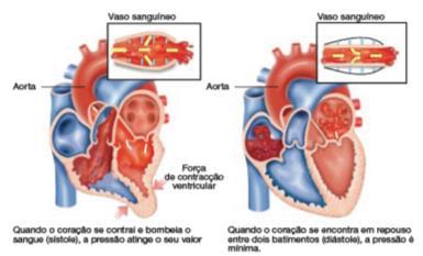 10 MANDAMENTOS DO CORAÇÃO SAUDÁVEL I. Pressão arterial Relações entre fluxo e pressão Pressão arterial 1.