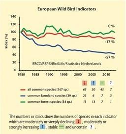 Avaliação estado das aves na Europa Em 34 anos (1980 2013) o índice de abundância de aves comuns associadas aos ecossistemas agrícolas diminuiu 57% Contudo, índice das aves comuns florestais