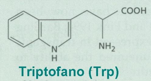 Biossíntese Triptofano ác.