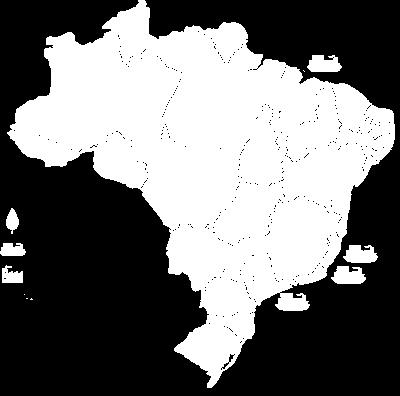 eucalipto no Brasil: 7 anos Celulose Custo-caixa entre os menores do mundo Produtos certificados Autossuficiente