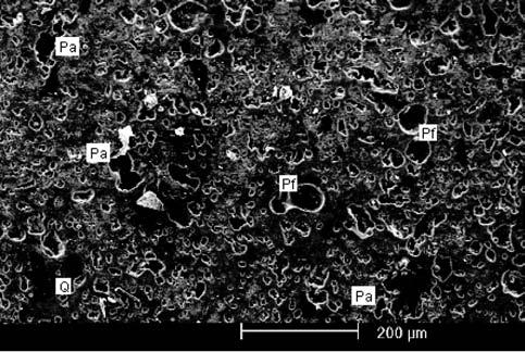 Porosidade fechada. Sem ataque ácido. [Figure 5: SEM of bone porcelain fired at 1240 ºC. Transversal section. Closed porosity. No acid etching.