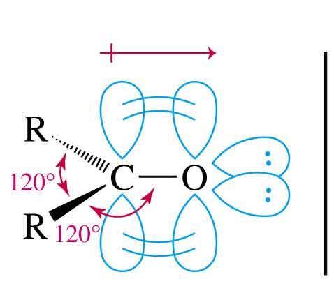 Estrutura da Carbonila Carbono tem hibridização sp 2 A ligação C=O é mais curta, mais forte e mais polar que a C=C em alcenos.