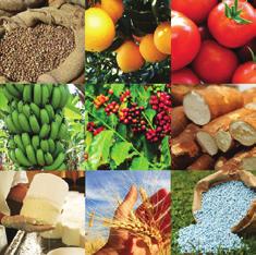 . 10 SEGMENTO INDUSTRIAL Indústria agropecuária mantém em 2016.