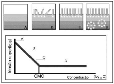 (c.m.c) que é determinada através do gráfico da concentração de tensoativo em função da tensão superficial. A partir do gráfico obtêm-se duas retas e a interseção corresponde à c.m.c, conforme Figura 12.