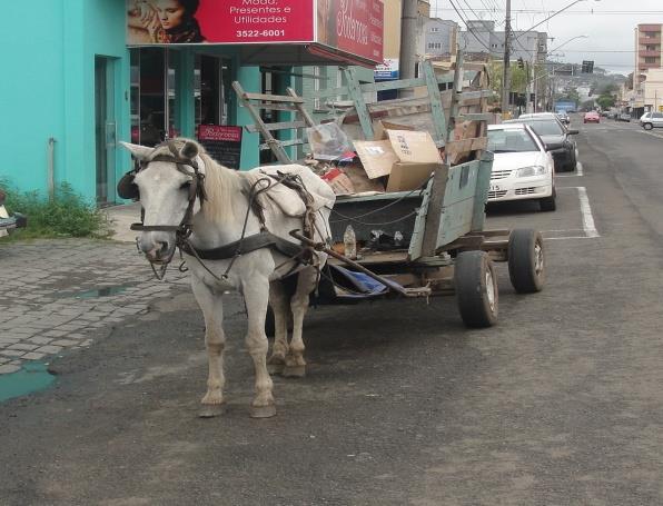 recicláveis geradas no município.