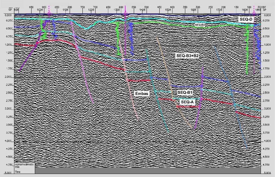 Figura 02 (a): Base de dados utilizada para este estudo, totalizando 460 linhas sismicas e 47 poços, fornecidos pela ANP para o projeto Camamu-Almada (LAB2M-COPPE/UFRJ, 2002); (b): Arcabouço