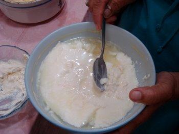 estreptococos) em anaerobiose, fermentam a lactose do leite a ácido lático.