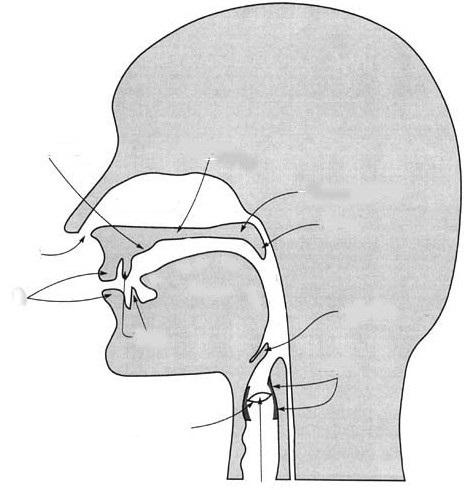 de/lili/personen/vgramley/teaching/hths/sagittal.