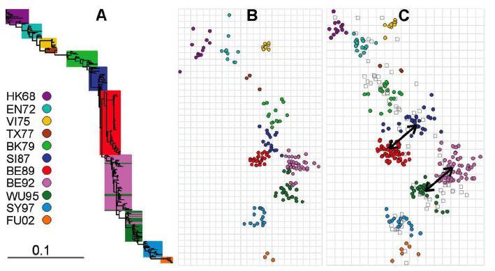 Exemplos: Grupos antigênicos Sironen et al. (2001): Taxa de substituição ~1x10-7!! Smith, D. J., Lapedes, A. S., de Jong, J. C., Bestebroer, T. M.