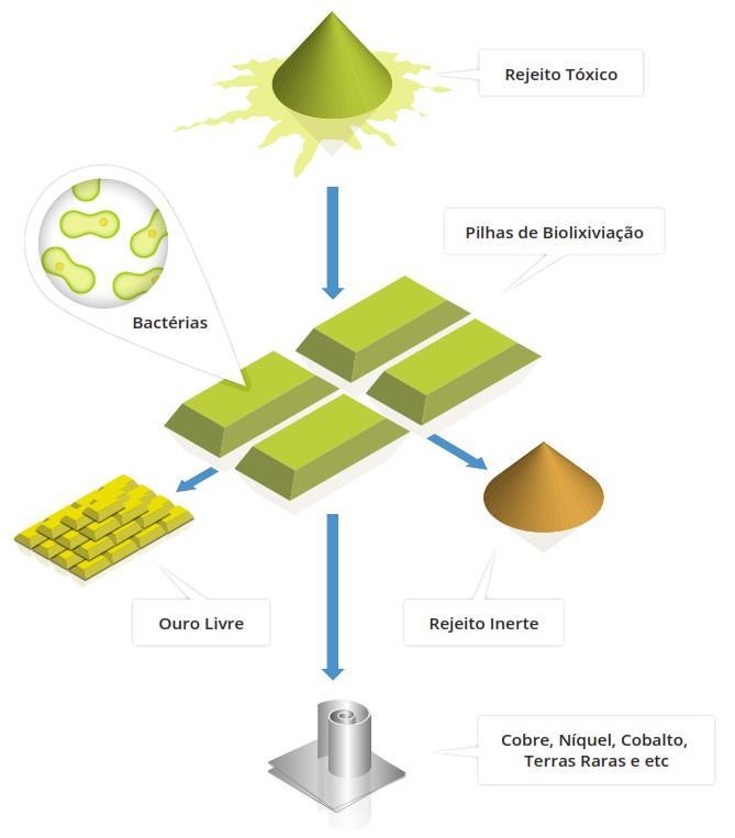 Biomineração - Micro-organismos na Mineração Rotas alternativas aos métodos tradicionais para recuperar metais Biolixiviação Recuperação de metais pela sua solubilização utilizando microrganismos
