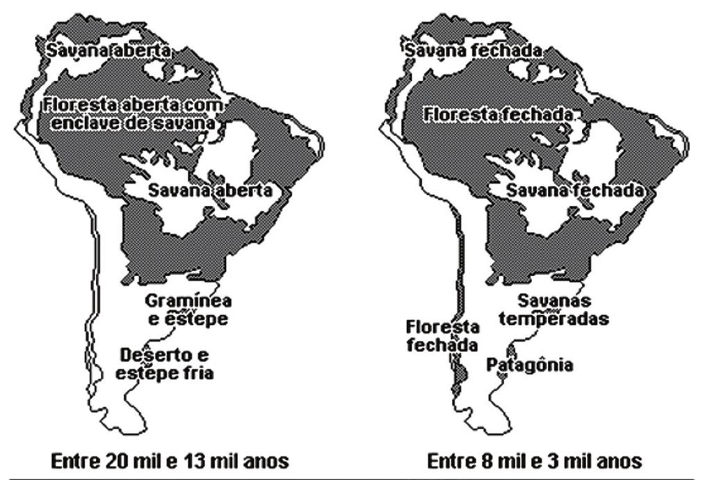 Proposto As hipóteses a seguir foram levantadas para explicar o desaparecimento dos grandes mamíferos na América do Sul.