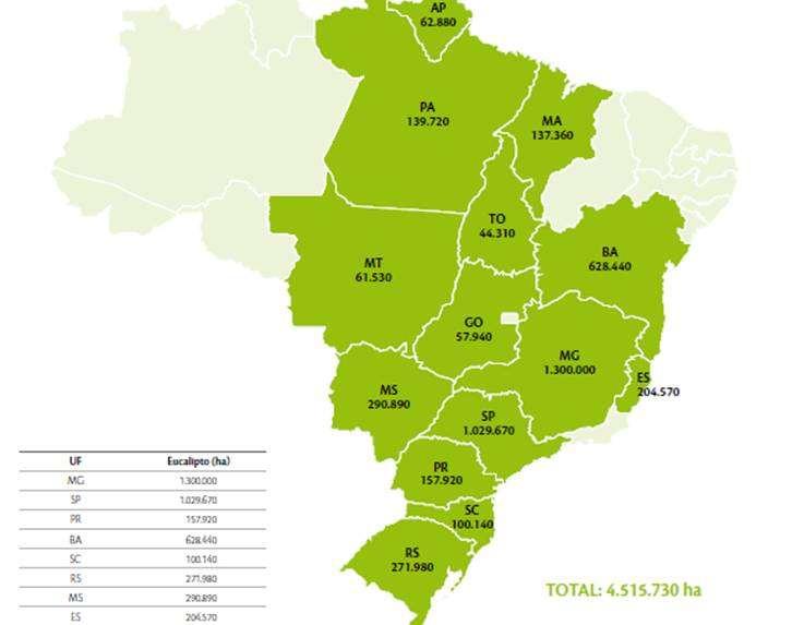 EUCALIPTO NO BRASIL SP e MG + da metade da área plantada