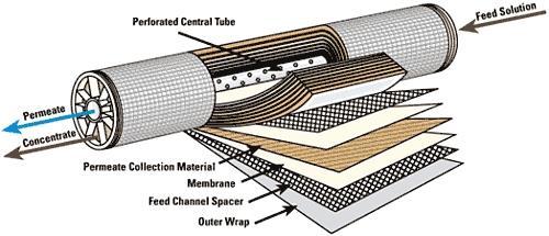 MEMBRANAS