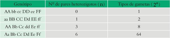 Quantos tipo de gametas diferentes fornece um indivíduo de genótipo AaBbCcDD?