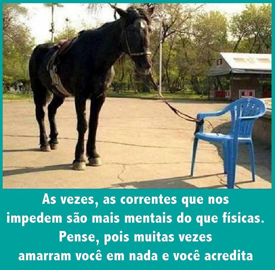 Crenças Limitantes e Autossabotagem O sistema de crenças é nosso maior filtro mental, é uma expressão interna que apresenta um grau de convicção ou certeza.