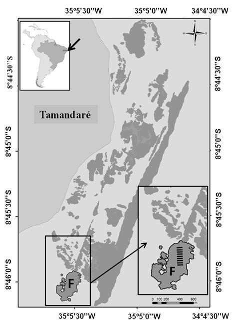 Figura 1 Mapa do complexo recifal de Tamandaré (PE, Brasil). F: área fechada dos recifes de Tamandaré.