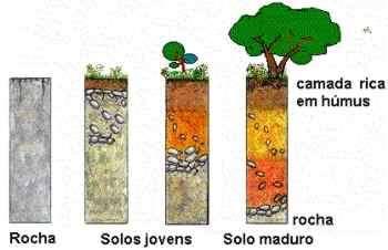 Solos residuais são aqueles que permanecem sobre a rocha que lhes originou (rocha mãe ou rocha parental) O processo
