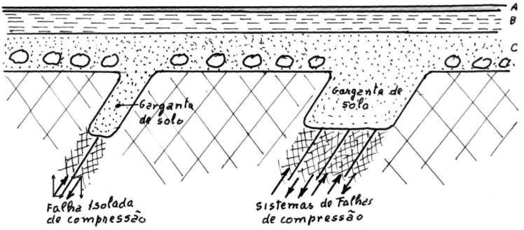 estrutura da