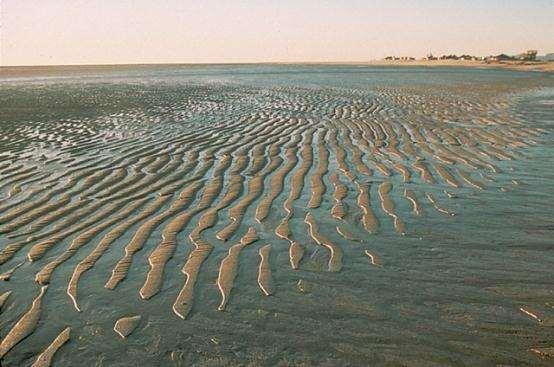 Areias marinhas