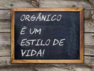 Por que consumir orgânicos? Os benefícios do cultivo de orgânicos para o meio ambiente também são reconhecidos e citados como motivadores pela escolha por uma parcela importante.