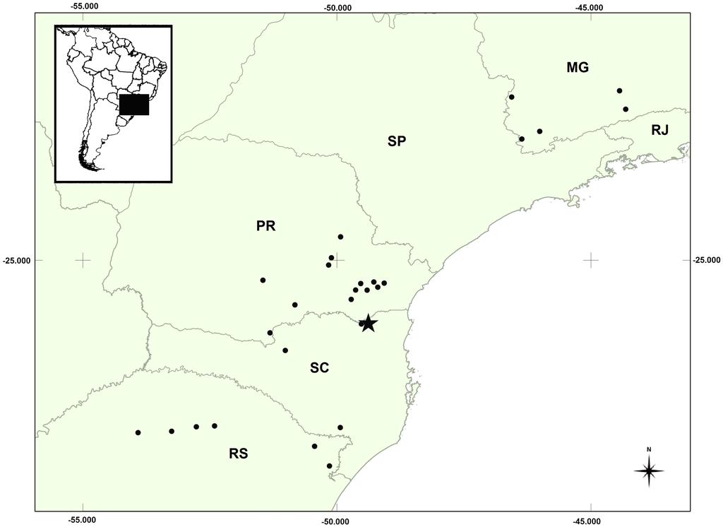 Morphological variation of Gomesophis brasiliensis and Ptychophis flavovirgatus 121, sd = 3.1) in females, which suggest an inverted sexual dimorphism; subcaudals 50 68 (n = 33, mean = 58, sd = 4.