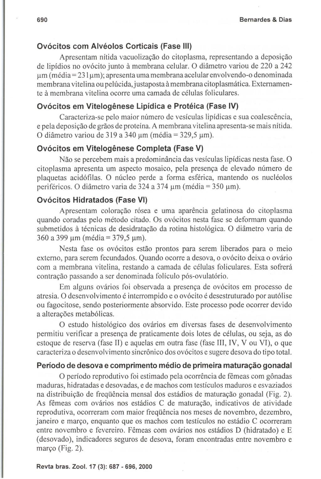 690 Bernardes & Dias Ovócitos com Alvéolos Corticais (Fase 111) Apresentam nítida vacuolização do citoplasma, representando a deposição de lipídios no ovócito junto à membrana celular.