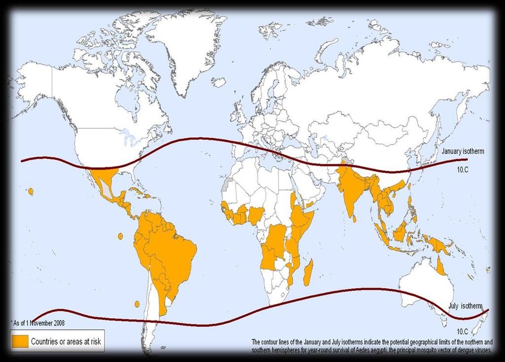 Dengue Problema de saúde pública Amazonas em 2011: A maior epidemia de dengue da sua história, 47 mil casos e 12 óbitos