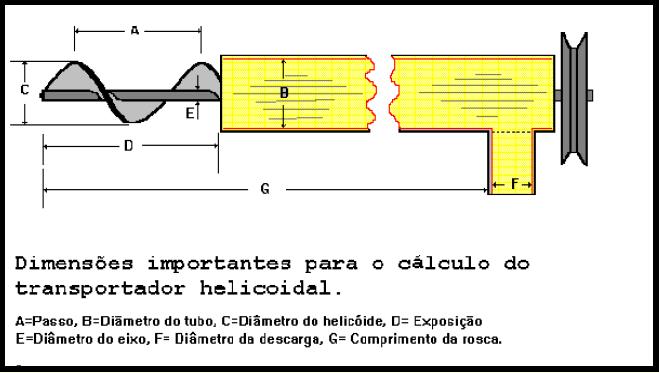 Bases de um