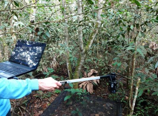 recuperação da cobertura florestal nativa e o enriquecimento natural das áreas mineradas ao longo do tempo, ficando, portanto,