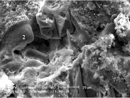 Figura 9: Carbonato de cálcio (1) e