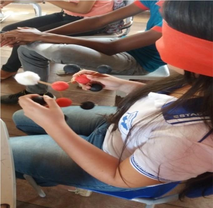 eles tiveram, e se colocando no lugar de alunos deficientes visuais, o recurso didático apresentado nesta aula poderia realmente