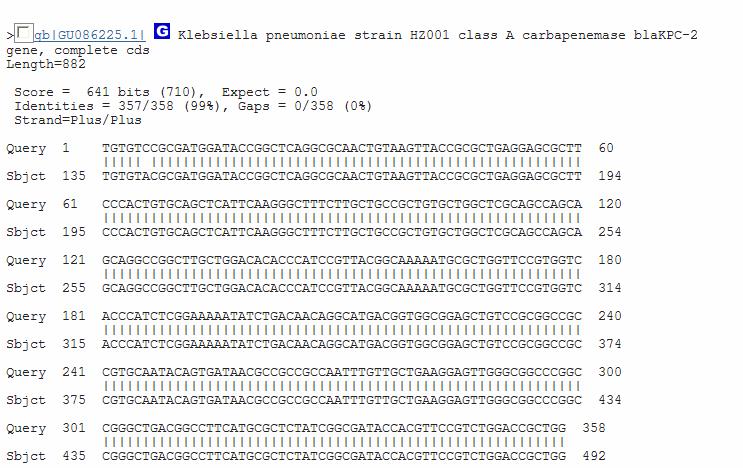 Sequenciamento do gene bla KPC Seqüência Editada