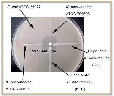 Teste Confirmatório para Carbapenemases Teste de Hodge Modificado E.